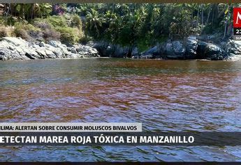 Detectan Marea Roja T Xica En Manzanillo Grupo Milenio