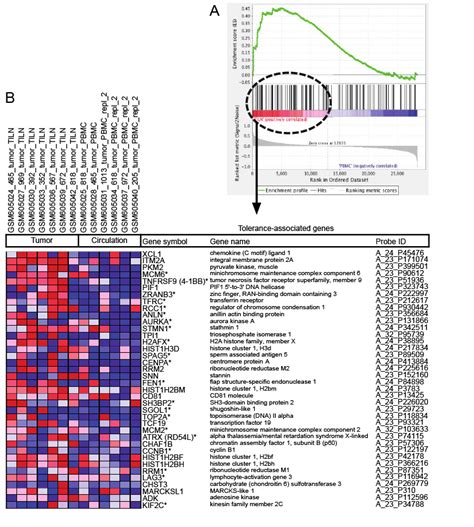 Gene Set Enrichment Analysis