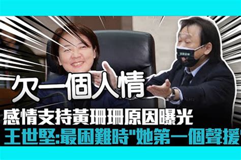 【cnews】感情支持黃珊珊原因曝光 王世堅：在我最困難時「她第一個聲援我」 匯流新聞網