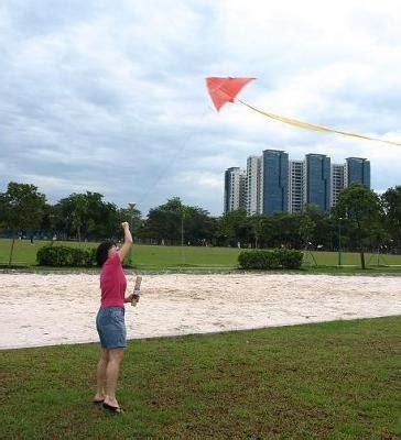 Kite-flying at West Coast Park