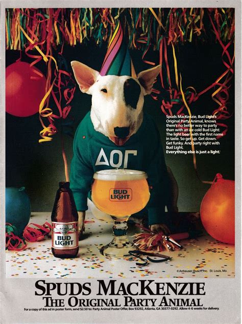 Spuds Mackenzie Bud Lights Original Party Animal Poster From 1987