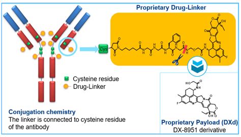 Buserelin a luteinizing hormone-releasing hormone (LHRH) agonist « New ...