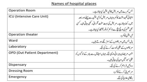 Health And Medical Vocabulary Words With Urdu Meanings