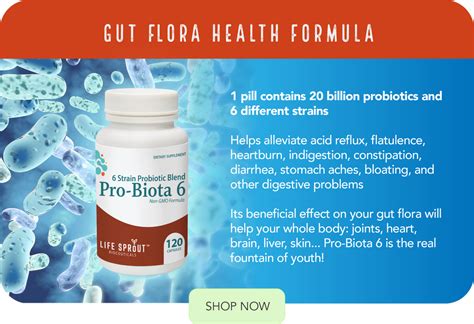 The Role of Probiotics in Preventing Chronic Diseases – Life Sprout Bioceuticals™