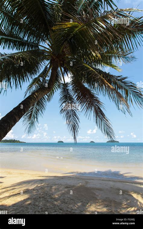 Tropical Beach With Coconut Trees Chang Island Thailand Stock Photo