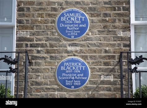 Blue Plaques In Chelsea London England Marking Homes Of Scientist