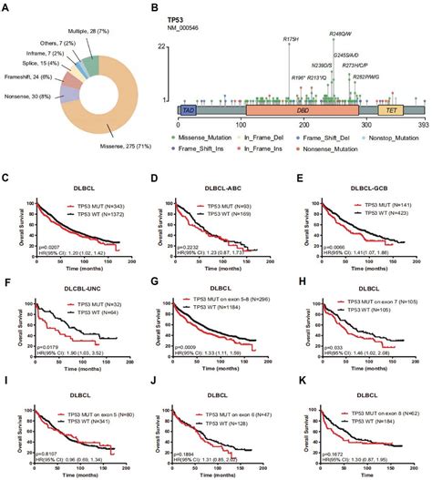 APR246 TRIGGERS FERRITINOPHAGY AND FERROPTOSIS OF DIFFUSE LARGE BCELL