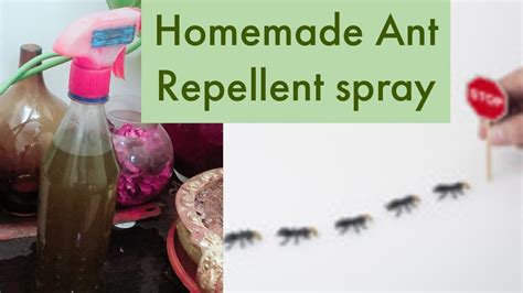 A Natural Way To Get Rid Of Ants In Just Seconds 100 Effective With