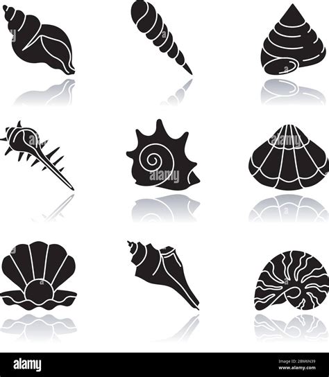 Sea Shells Drop Shadow Black Glyph Icons Set Stock Vector Image Art