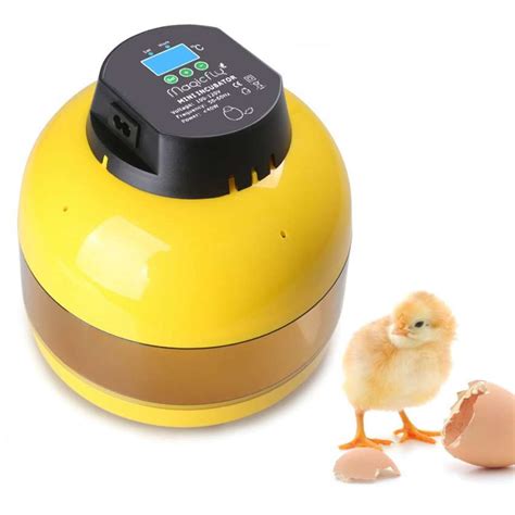 Top Best Egg Incubators In Reviews Incubator Warehouse