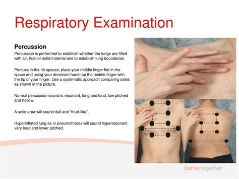 PPT UWE Bristol Respiratory Examination PowerPoint Presentation Free