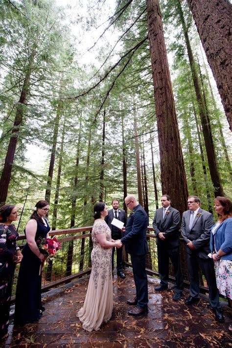 Redwood Deck Wedding At Hoyt Arboretum Portland