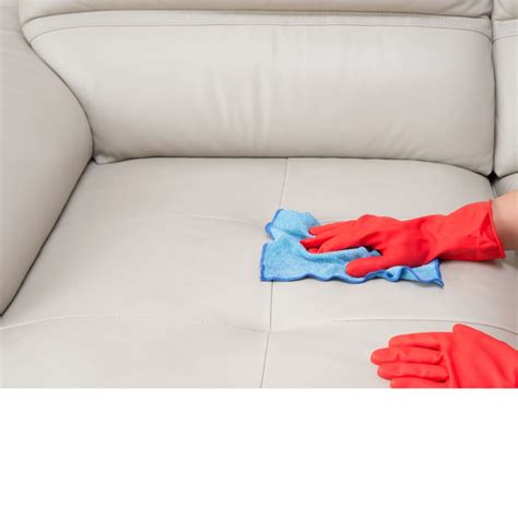 How To Clean Leather Sofa Daily Cabinets Matttroy