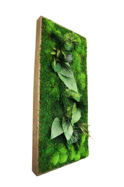 15 Spectacular Moss Wall Art Designs That Redefine The Living Wall