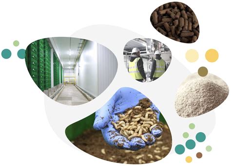 Food Security Solutions