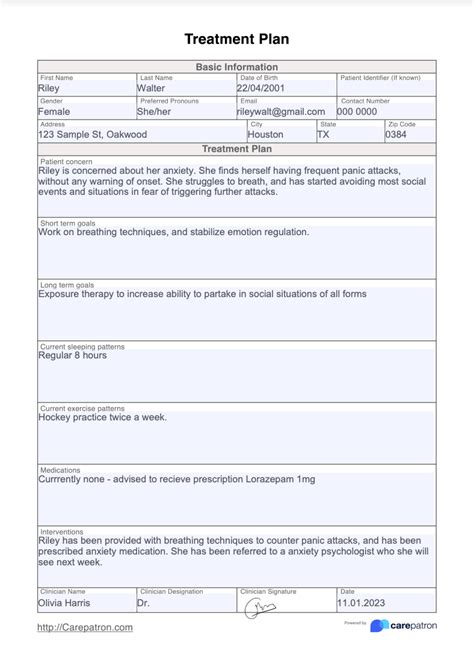 Treatment Plan Template And Example Free Pdf Download