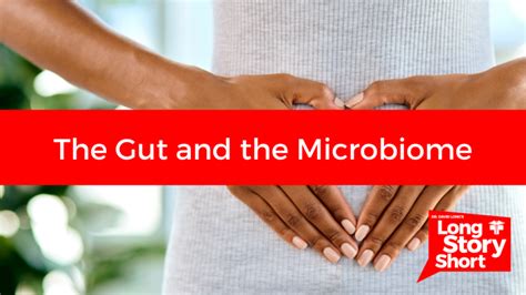 The Gut And The Microbiome Dr David Long Lubbock Cooper Health Center