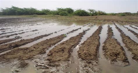 Schematic Picture Of Adverse Effects Of Waterlogged On Soil Structure