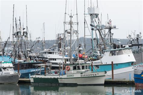 Life Along The Oregon Coast Yaquina Bay And The Newport Bayfront Us