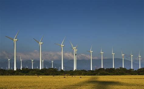 Acciona Respalda La Neutralidad En Carbono De Banco Santander Grupo