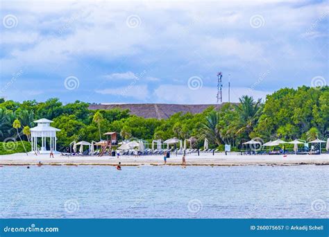 Tropical Mexican Beach Sand Palm People Playa Del Carmen Mexico