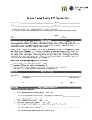 Fillable Online Optional Practical Training OPT Job Reporting Form