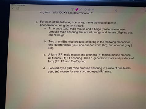 Solved Organism With XX XY Sex Determination For Each Of Chegg