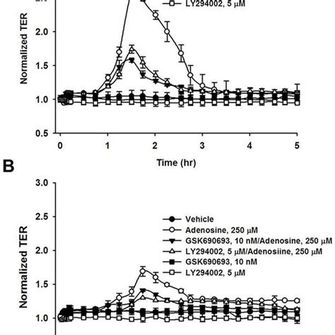 The Qrt Pcr Analysis Of Adenosine Receptors Expression In Vvec The