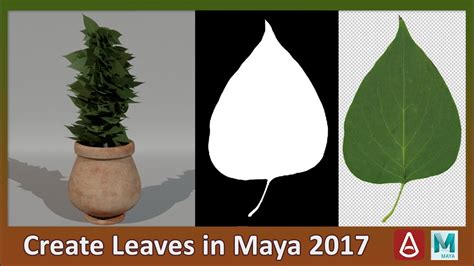 How To Create Leaves Alpha Plant In Maya 2017 Youtube