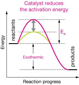 Exothermic Reaction With Catalyst