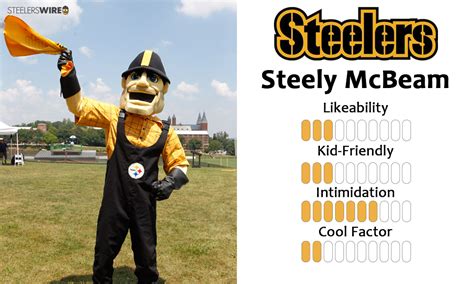 What Does The Steelers Mascot Look Like