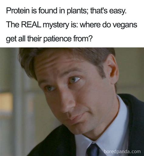 35 Hilarious Vegan Memes That May Change The Way You Look At Meat ...