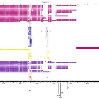 Cluster Generated From The Prophage Genome Sequences And Phylogenetic