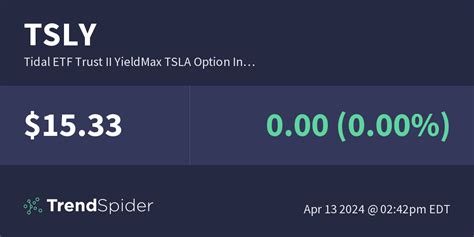 Tsly Tidal Etf Trust Ii Yieldmax Tsla Option In Unusual Options