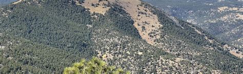 Sugarloaf Mountain Trail, Colorado - 958 Reviews, Map | AllTrails