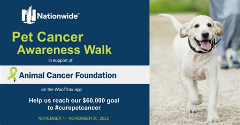 Animal Cancer Foundation