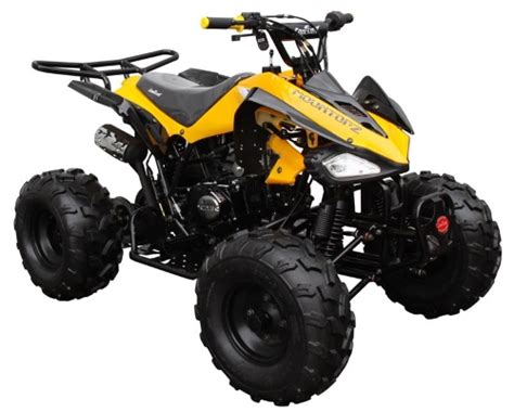 125cc Coolster Atv Intruder Midsize ATV W Reverse ATV 3125CX 2