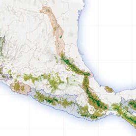 PDF El bosque mesófilo de montaña y sus plantas con flores