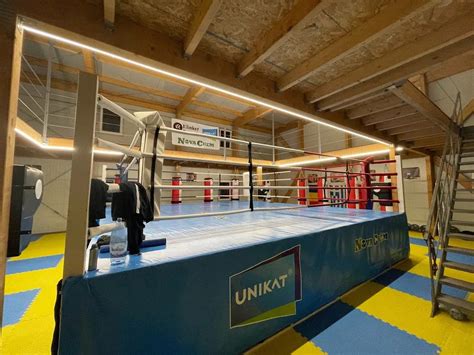 Ursache Box Club Brasov Clubul Copiilor