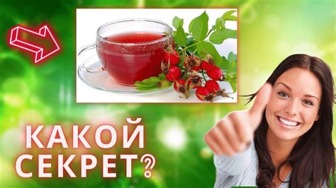 ШИПОВНИК: ЛЕЧЕБНЫЕ свойства - YouTube