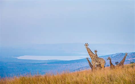 Akagera National Park Across Wilderness Expedition