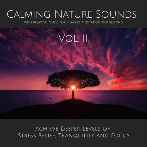 Calming Nature Sounds Vol II With Relaxing Music For Healing