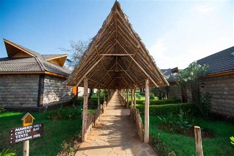 3 Days Masai Mara Private Safari In AA Lodge