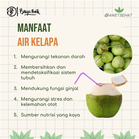 Khasiat Air Kelapa – newstempo