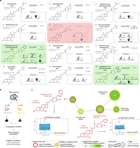 Applying Cosmic To Discover Novel Bile Acid Conjugates In A Mice Fecal