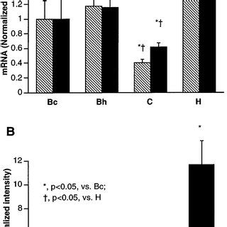 Steady State Mrna Levels All Transcript Levels Are Relative To S