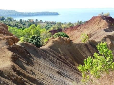 Journ E Mondiale Contre La D Sertification Mayotte Nature Environnement