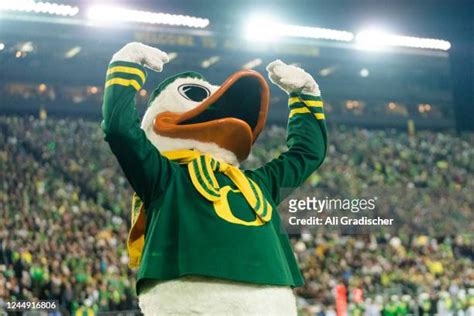 Oregon Duck Mascot Photos Et Images De Collection Getty Images