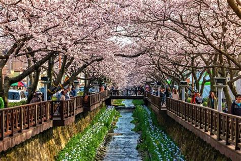 15 BEST Places To Visit In South Korea 2025