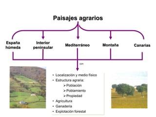 Tema 13 Los Dominios Y Paisajes Agrarios PPT